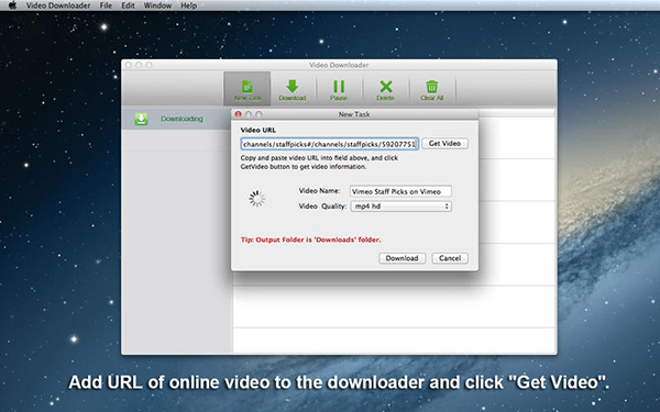 video downloader